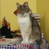 Отзыв от Наиля Волошина